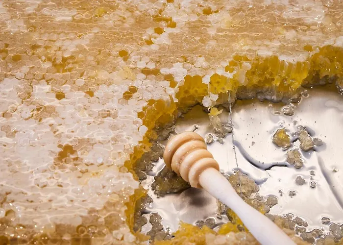 Regency Salgados & Hotel 4*